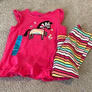 Colorful Zebra Kids Set
